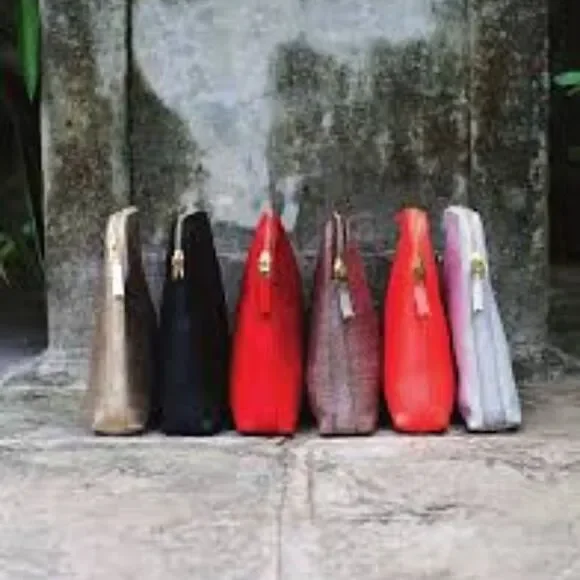 India Hicks Insider - Island Gecko